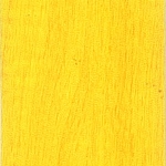 ly-larice-giallo